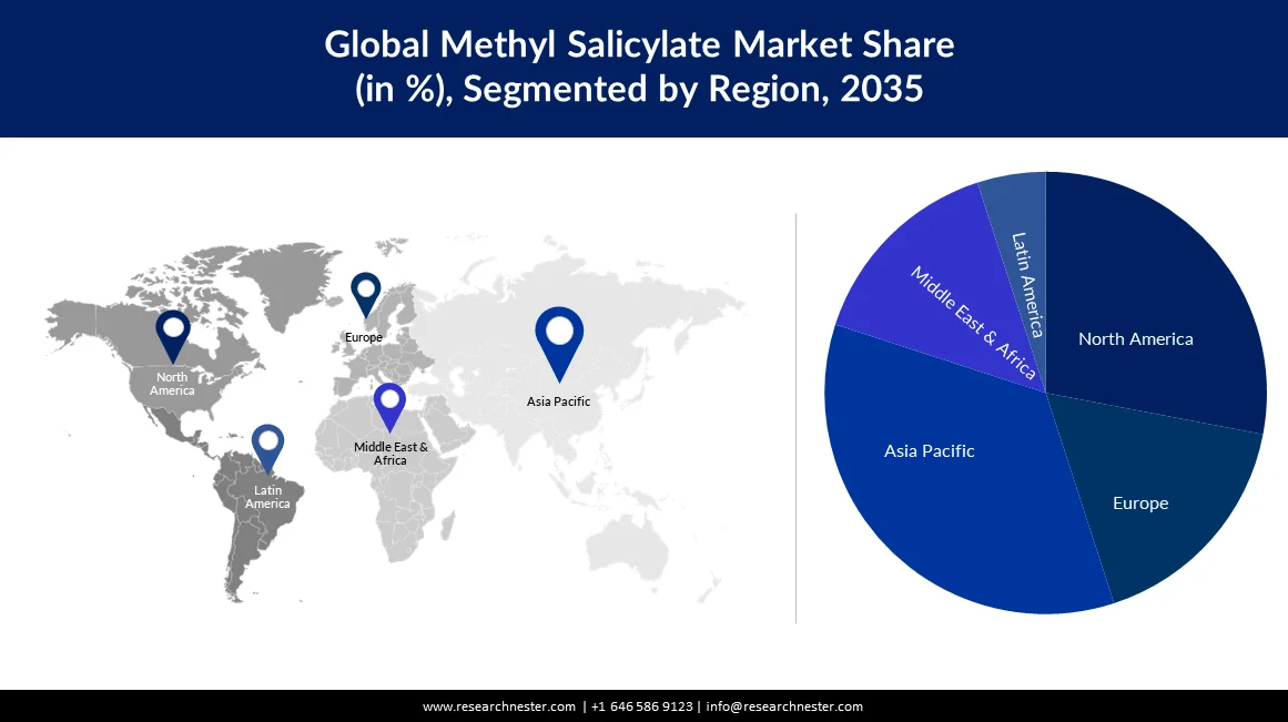 Methyl Salicylates Market Size